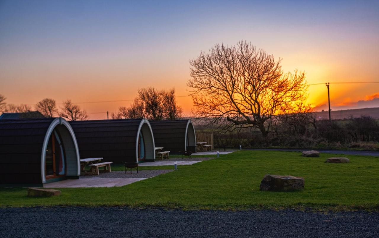 Causeway Country Pods Hotel Bushmills Eksteriør billede