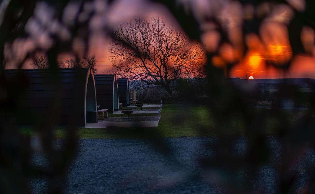 Causeway Country Pods Hotel Bushmills Eksteriør billede